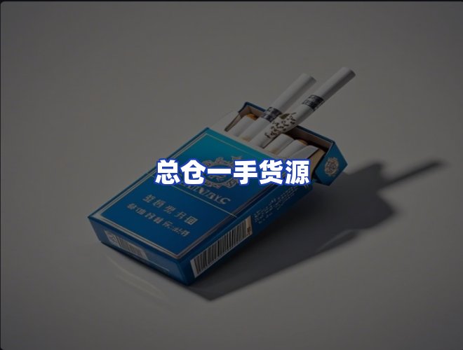 专业团队